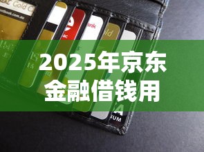 2025年京东金融借钱用什么卡还？梳理五个小额贷款平台排名不分先后