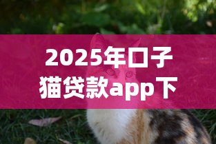 2025年口子猫贷款app下载入口？试试这5个不看综合评分额度高下款快平台