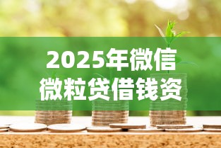 2025年微信微粒贷借钱资格？推荐五个借款平台的钱好借一点