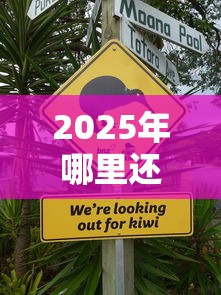 2025年哪里还能借到钱？推荐五个网上平台借钱不还会怎样