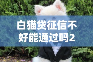 白猫贷征信不好能通过吗2025？这三点或许能帮你过关！
