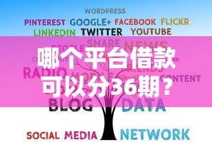 哪个平台借款可以分36期？这5家靠谱平台帮你轻松分期