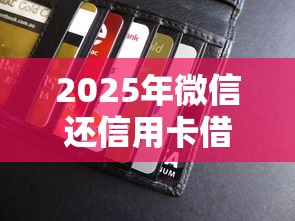 2025年微信还信用卡借钱？整合5个小额贷款平台排名不分先后