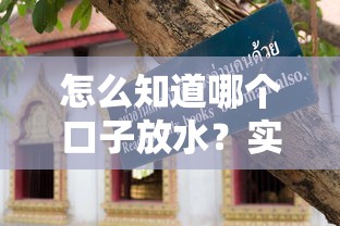 怎么知道哪个口子放水？实测三个判断技巧和平台避坑指南