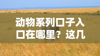 动物系列口子入口在哪里？这几个正规平台值得一试