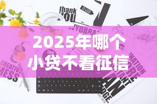 2025年哪个小贷不看征信黑名单？整理五个能贷500到1000的贷款软件
