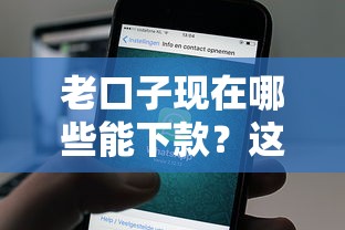 老口子现在哪些能下款？这5个靠谱平台实测通过率高