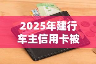 2025年建行车主信用卡被拒?推荐五个不看征信能下款的平台 2025年建行车主信用卡被拒?推荐五个不看征信能下款的平台