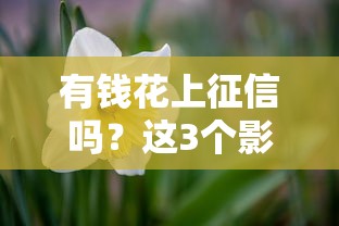 有钱花上征信吗？这3个影响必须知道