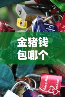 金猪钱包哪个系列口子靠谱？实测这几个下款快、额度高！