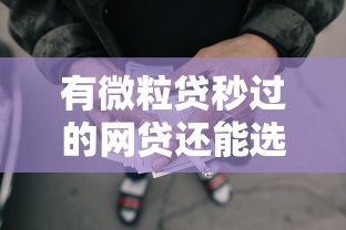 有微粒贷秒过的网贷还能选这5家平台？实测对比告诉你答案