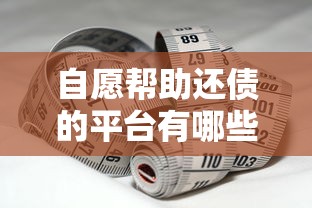 自愿帮助还债的平台有哪些？这5类方案帮你减轻压力
