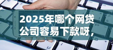 2025年哪个网贷公司容易下款呀，整合五个手机小额黑户快速贷款口子