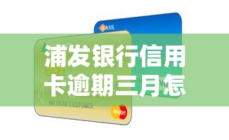 浦发银行信用卡逾期三月怎么办？教你正确处理流程