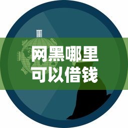 网黑哪里可以借钱？5个靠谱平台实测，真实经验避坑指南！