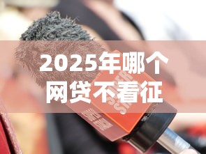 2025年哪个网贷不看征信和大数据，公布五个口子网