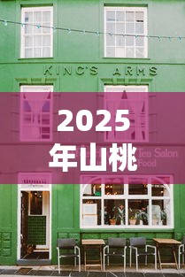 2025年山桃街贷款不通过？整合5个有什么好贷款的平台