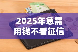 2025年急需用钱不看征信的平台有哪些软件：公布五个黑户小贷平台好借款
