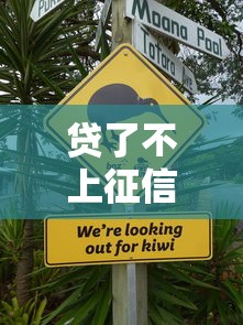 贷了不上征信怎么办？一文看懂隐藏风险