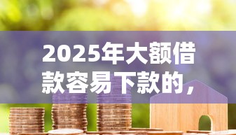 2025年大额借款容易下款的，公布5个正规贷款平台