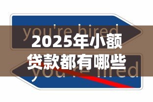 2025年小额贷款都有哪些平台可以贷？梳理五个不审核夜间直接放款的网贷软件