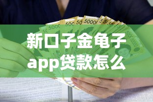 新口子金龟子app贷款怎么样？实测这3个细节要注意