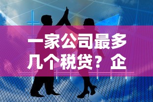 一家公司最多几个税贷？企业主必看的融资门道