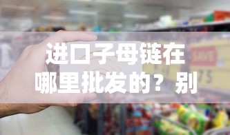 进口子母链在哪里批发的？别慌，这篇告诉你采购资金怎么解决