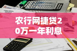 农行网捷贷20万一年利息多少呢？算完这笔账我惊了