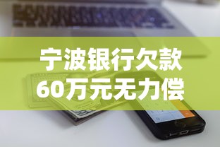 宁波银行欠款60万元无力偿还可以分期吗？真实案例解析