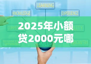 2025年小额贷2000元哪个平台好，公布五个哪些低息可靠可以分12期以上的借款平台