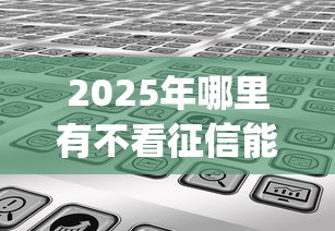 2025年哪里有不看征信能下款的？分享5个靠谱的借款app