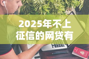 2025年不上征信的网贷有哪些？这些平台靠谱吗？