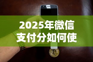 2025年微信支付分如何使用借钱：罗列5个2025黑户口子