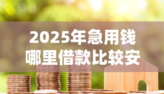 2025年急用钱哪里借款比较安全可靠，罗列5个可以借钱不用审核的软件