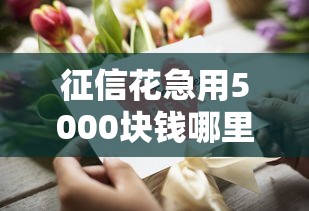 征信花急用5000块钱哪里能借？这几个渠道审核快、门槛低