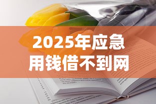 2025年应急用钱借不到网货怎么办，整合五个花了能下款的口子
