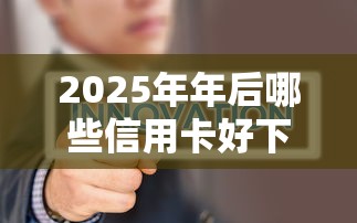 2025年年后哪些信用卡好下款呢：看看这五个小微金融贷款平台