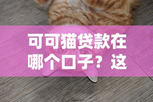 可可猫贷款在哪个口子？这几个渠道靠谱，试试看！