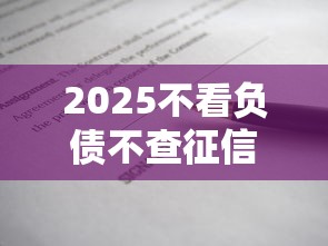 2025不看负债不查征信的贷款现状深度分析