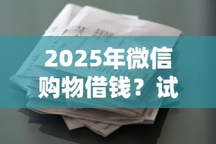 2025年微信购物借钱？试试这五个平台公司贷款