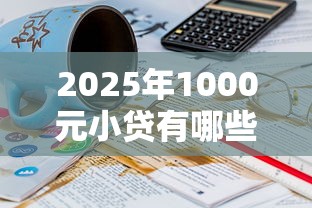 2025年1000元小贷有哪些：整合5个20岁借钱不求征信速借平台