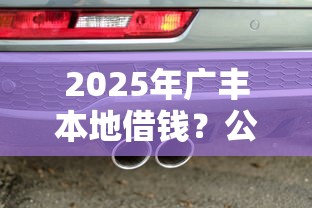 2025年广丰本地借钱？公布五个车抵押贷款平台好