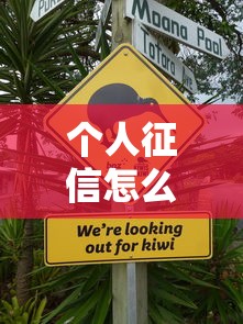 个人征信怎么登不上？别慌，这5个关键原因要自查