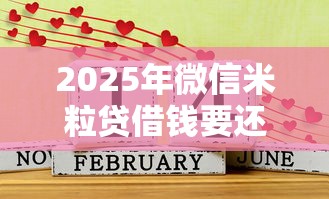 2025年微信米粒贷借钱要还吗，梳理五个平台借钱好