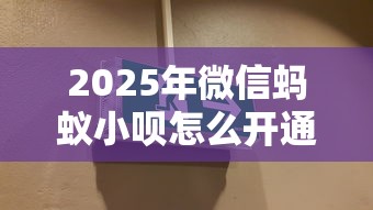 2025年微信蚂蚁小呗怎么开通？梳理5个征信花必过的平台