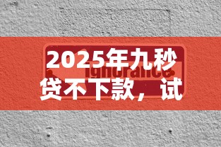 2025年九秒贷不下款，试试这五个不看征信容易下款的口子