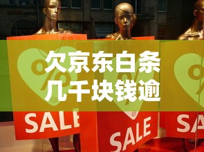 欠京东白条几千块钱逾期几个月怎么办？真实经验分享