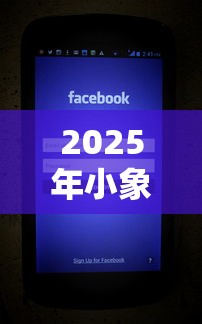 2025年小象优品不下款了吗，推荐5个网络小额贷款平台
