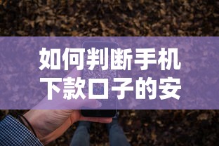 如何判断手机下款口子的安全性？这几点必须掌握！